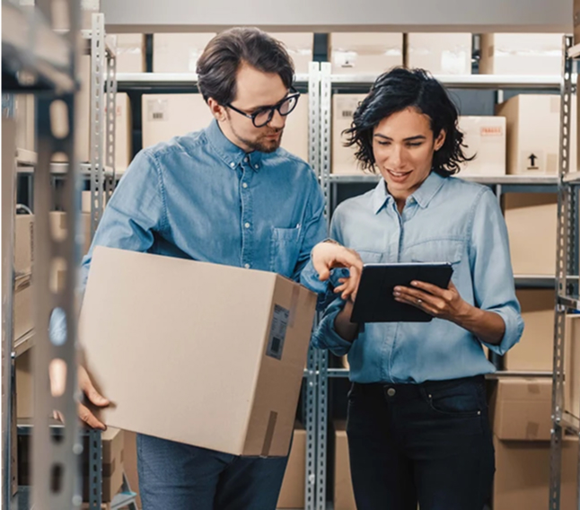 Our services business